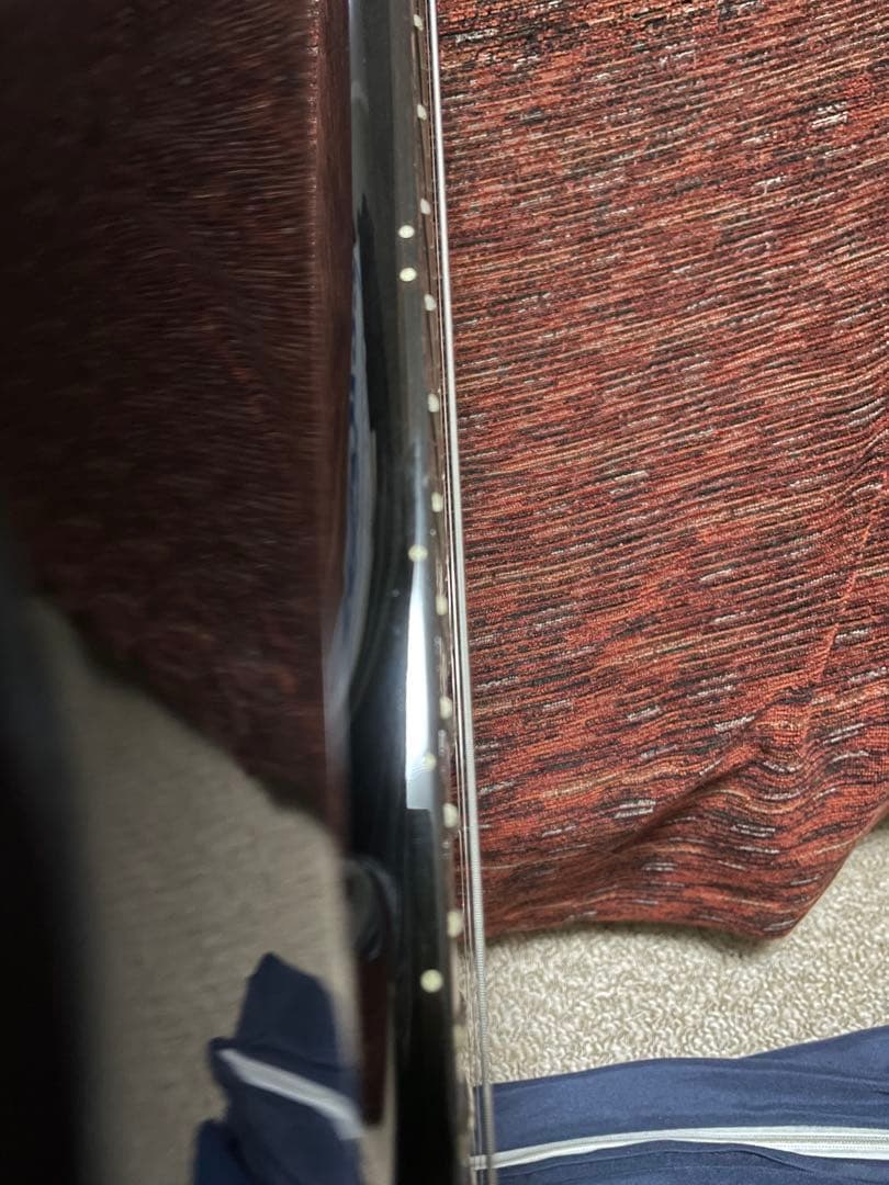 grassrootsフォレスト ibz/dimarzio グラスルーツ