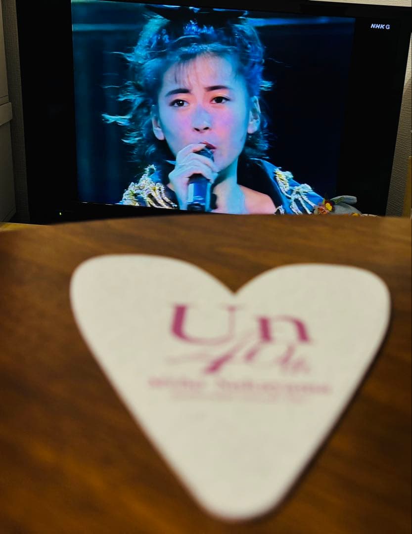 中山美穂×河村康輔40周年記念コラボTシャツA Lサイズ トートバックB