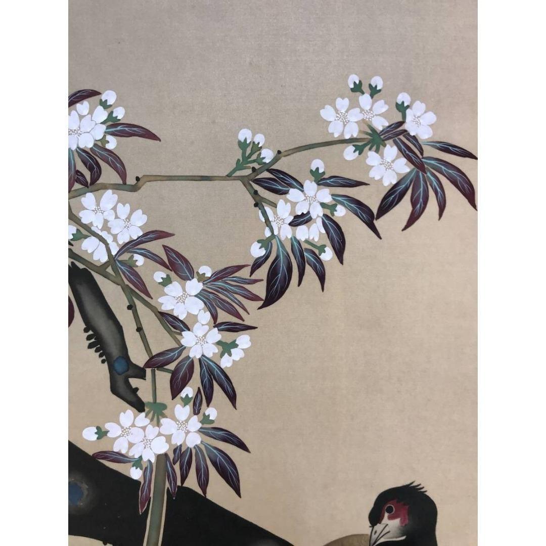 模写/酒井抱一/桜に雉図/花鳥図/春の掛軸/掛軸☆宝船☆AK-628