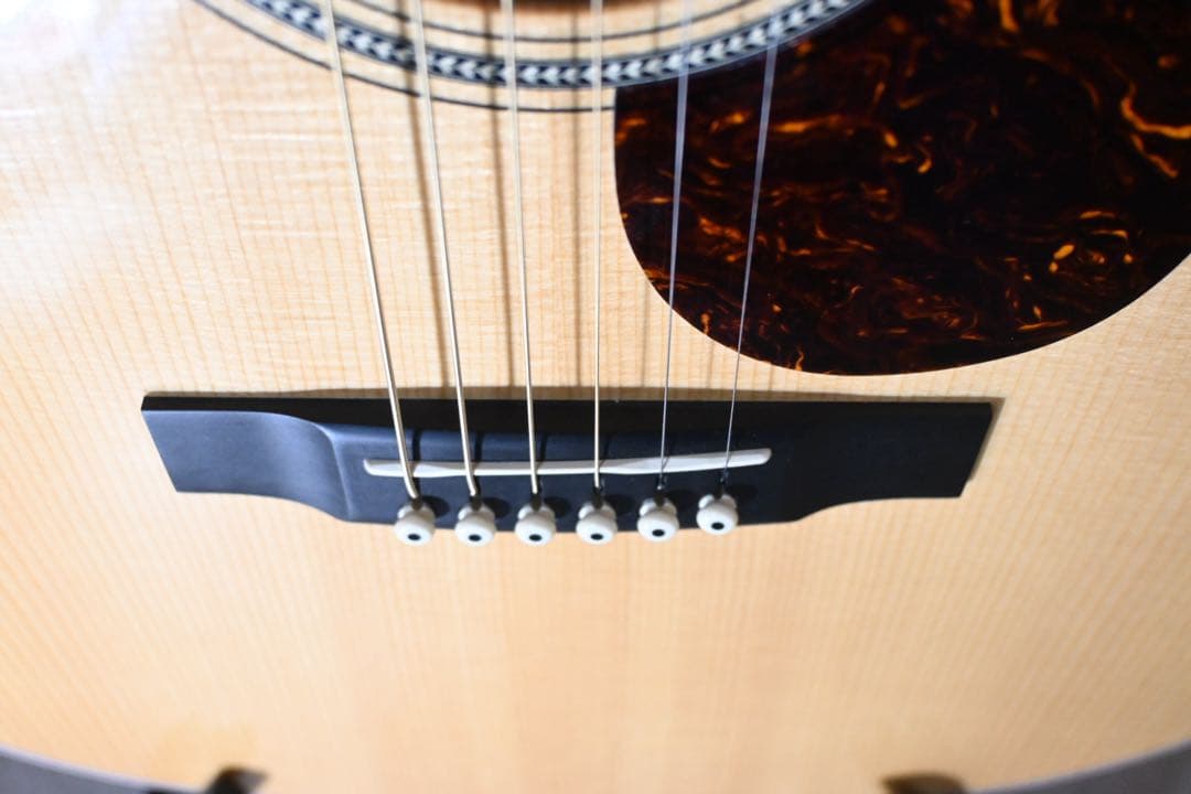 Martin OMC-16 OGTE 【ハードケース付 弦交換済（エリクサー