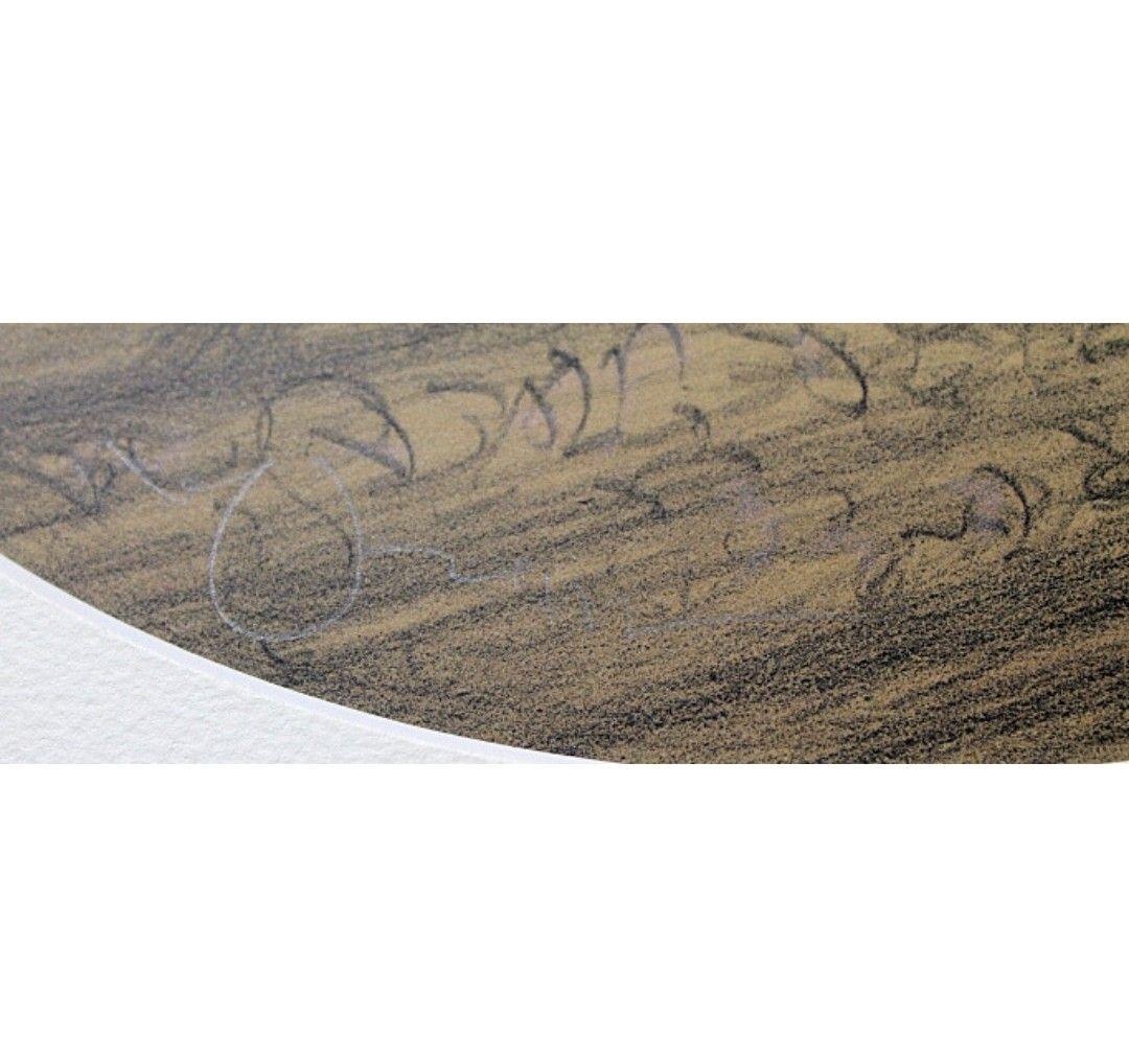 天野喜孝 MISTY SERIES アメジスト リトグラフ 直筆サイン FF - メルカリ