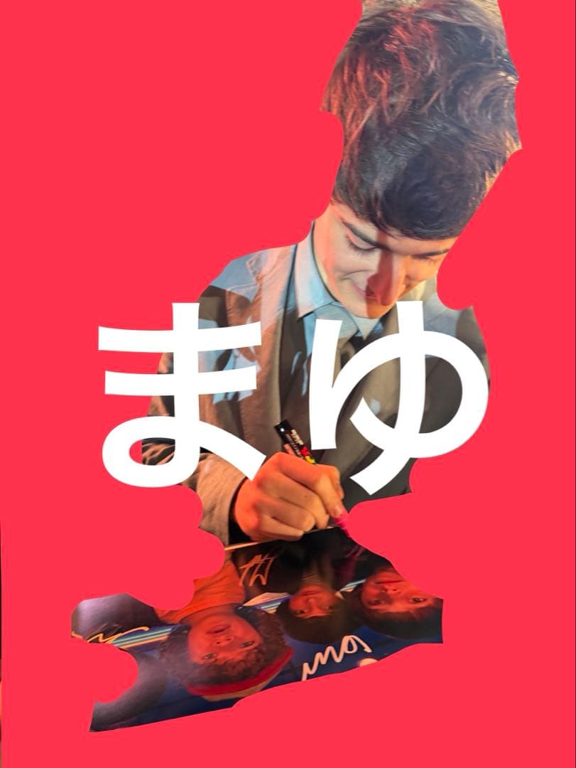 ストレンジャーシングス 直筆サイン フィン ゲイテン ケイレブ ノア