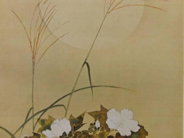 酒井抱一、秋月白芙蓉桔梗図、超希少・大判画集画、新品額装付