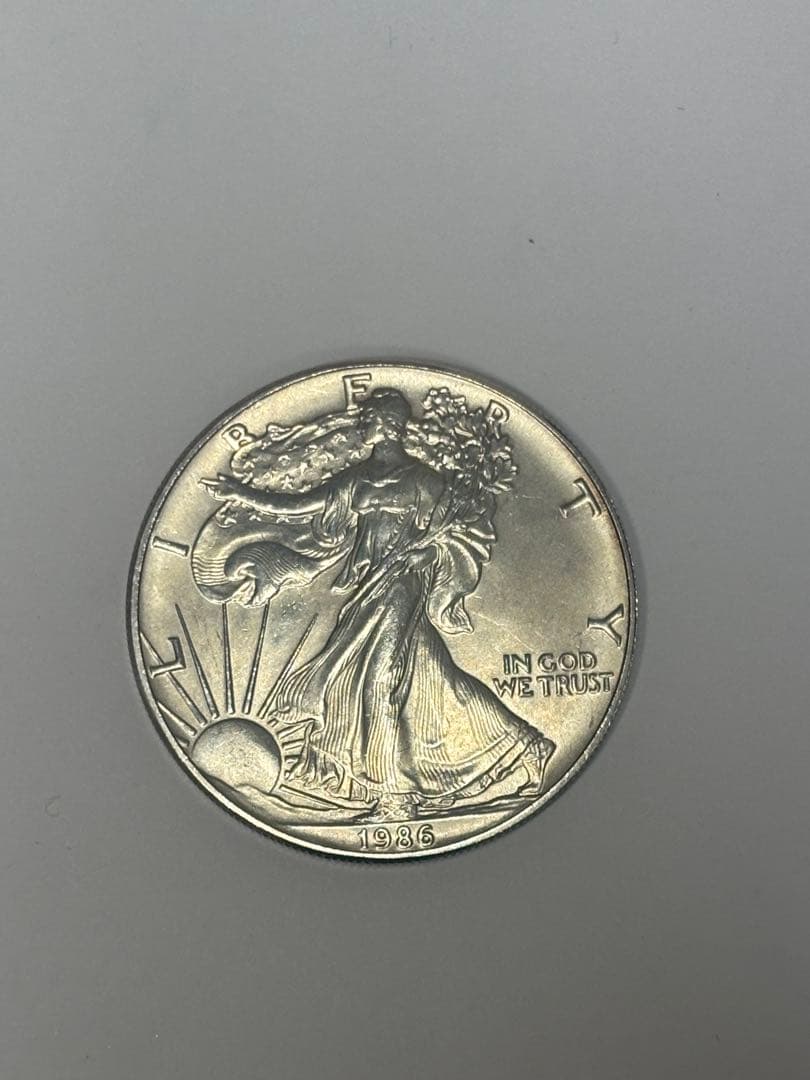 アメリカ 1ドル シルバー 31.3g