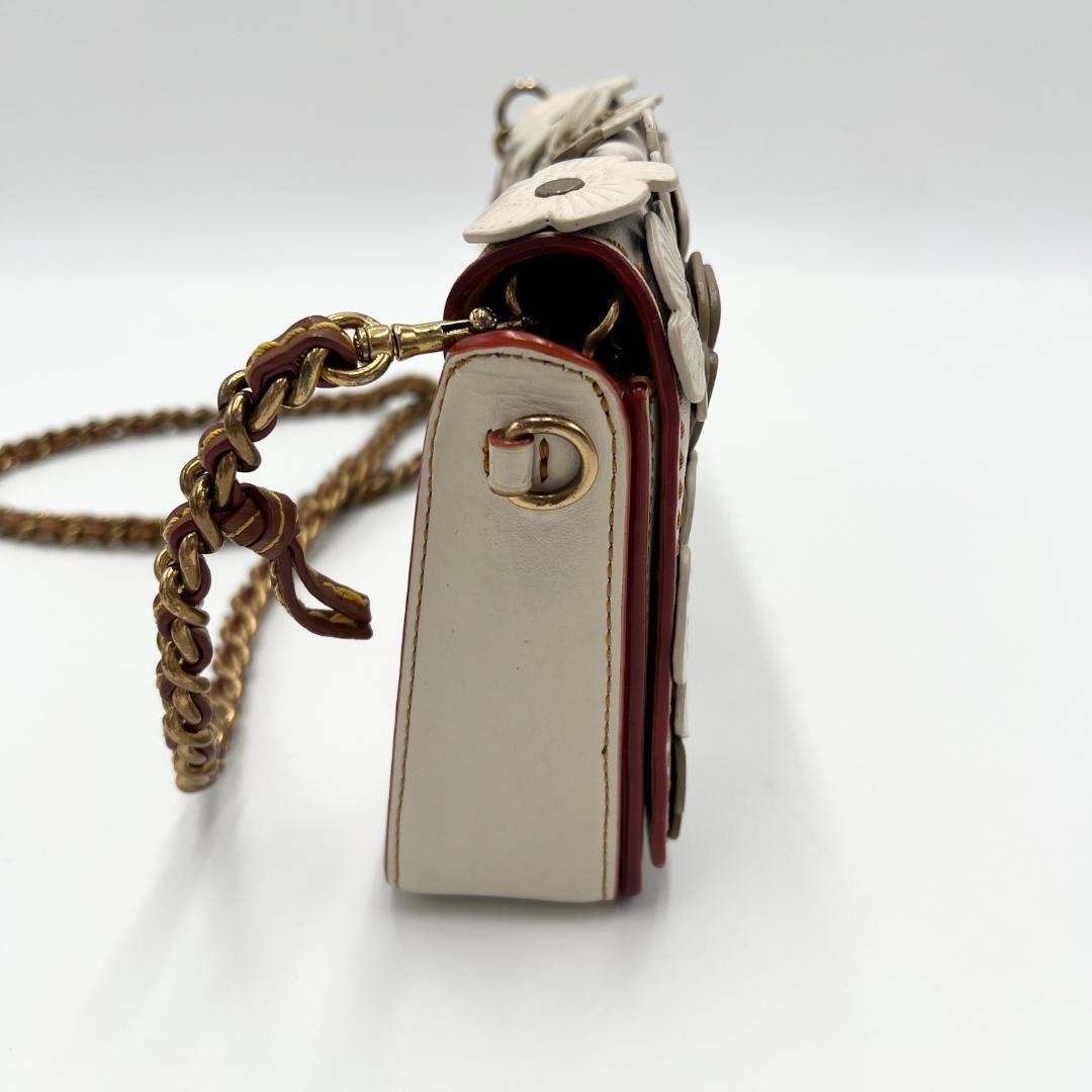 激レア COACH コーチ 2way 3way ディンキー ティーローズ バッグ