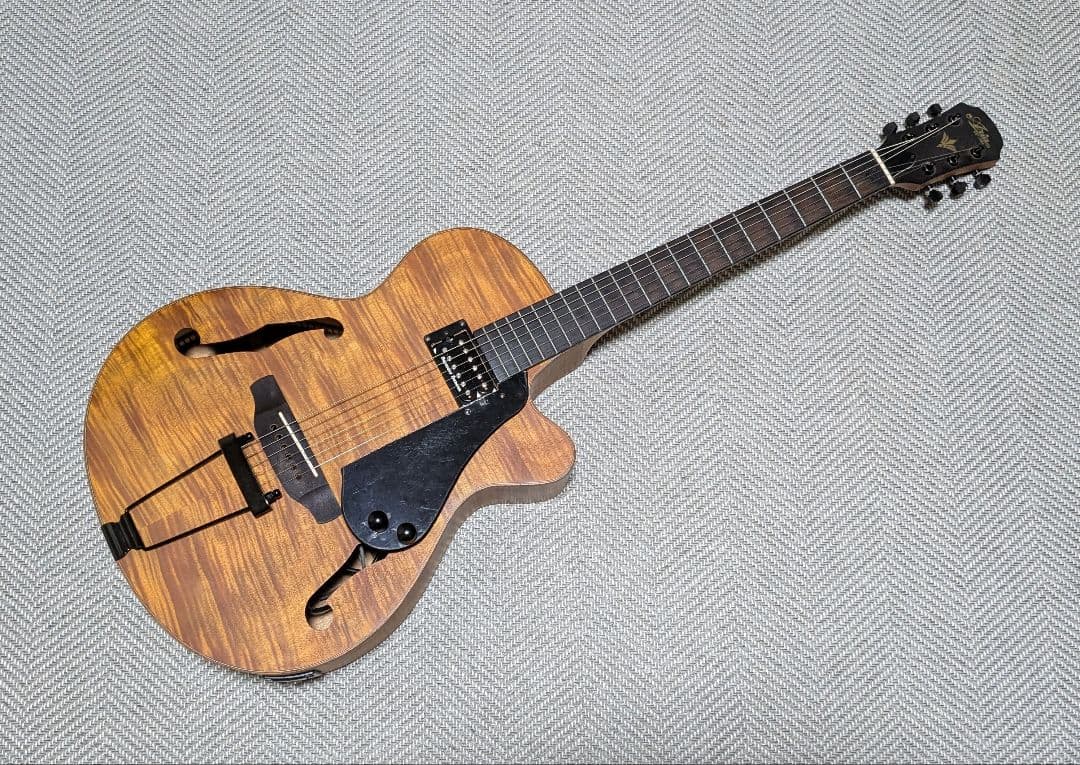 ギター Modified Aria FET-F2 with Seymour Duncan FET-F2 - Aria Guitars - Electric, Acoustic, Classical Guitars and Bass