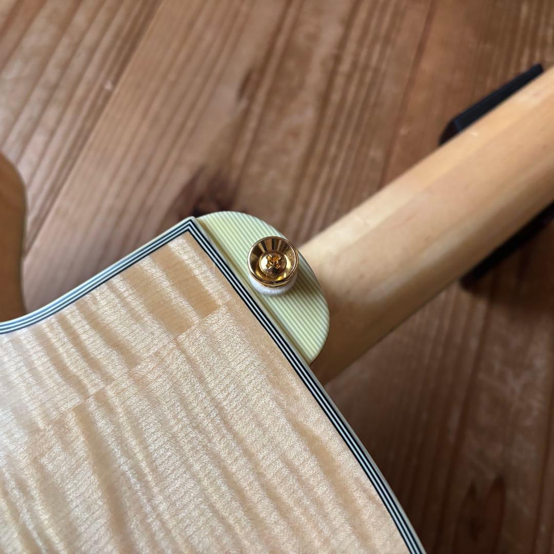 2019年製 Eastman AR810CE