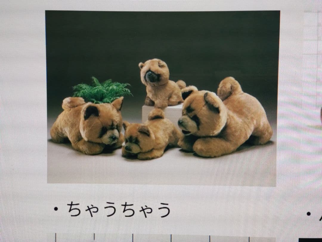 【三英】昭和 レトロ 特大 チャウチャウ ぬいぐるみ