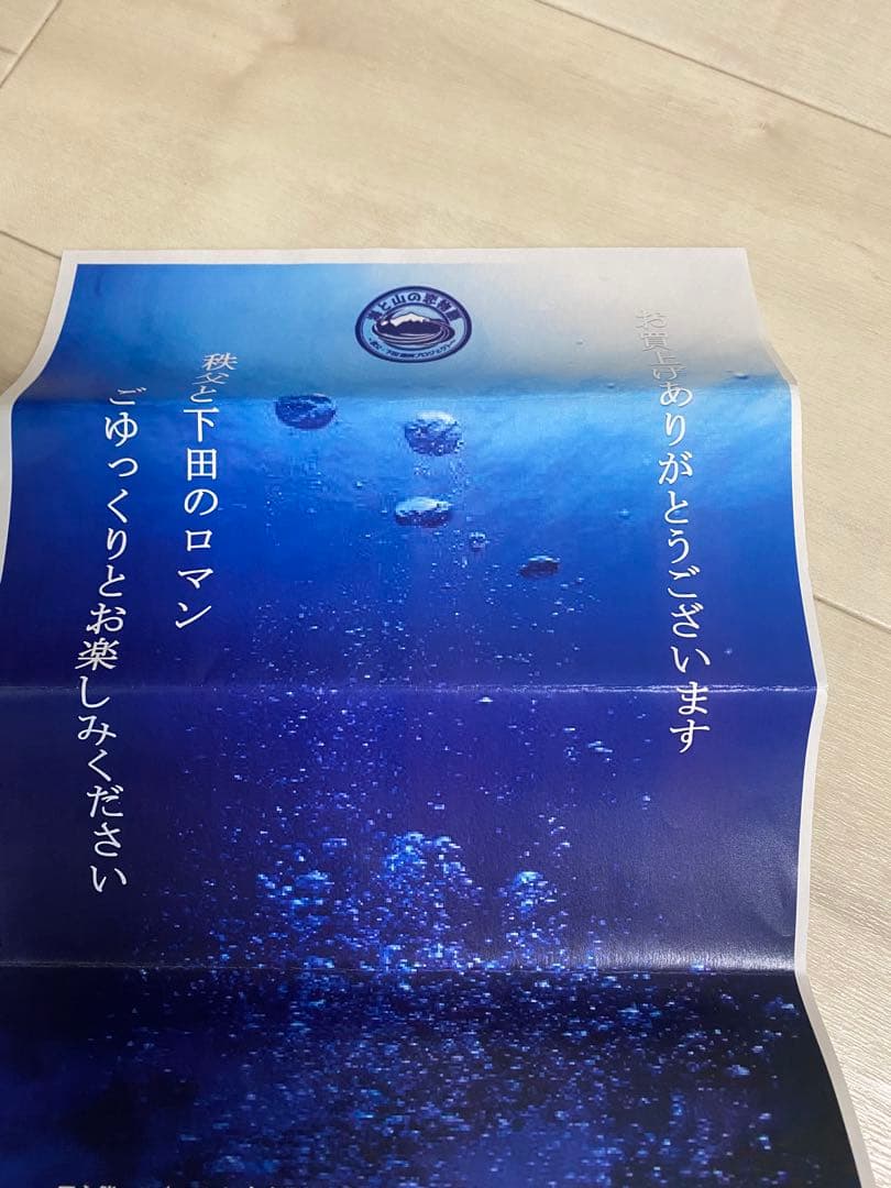 終売品 2021年イチローズモルト 海中熟成酒 2YEAR 秩父市×下田