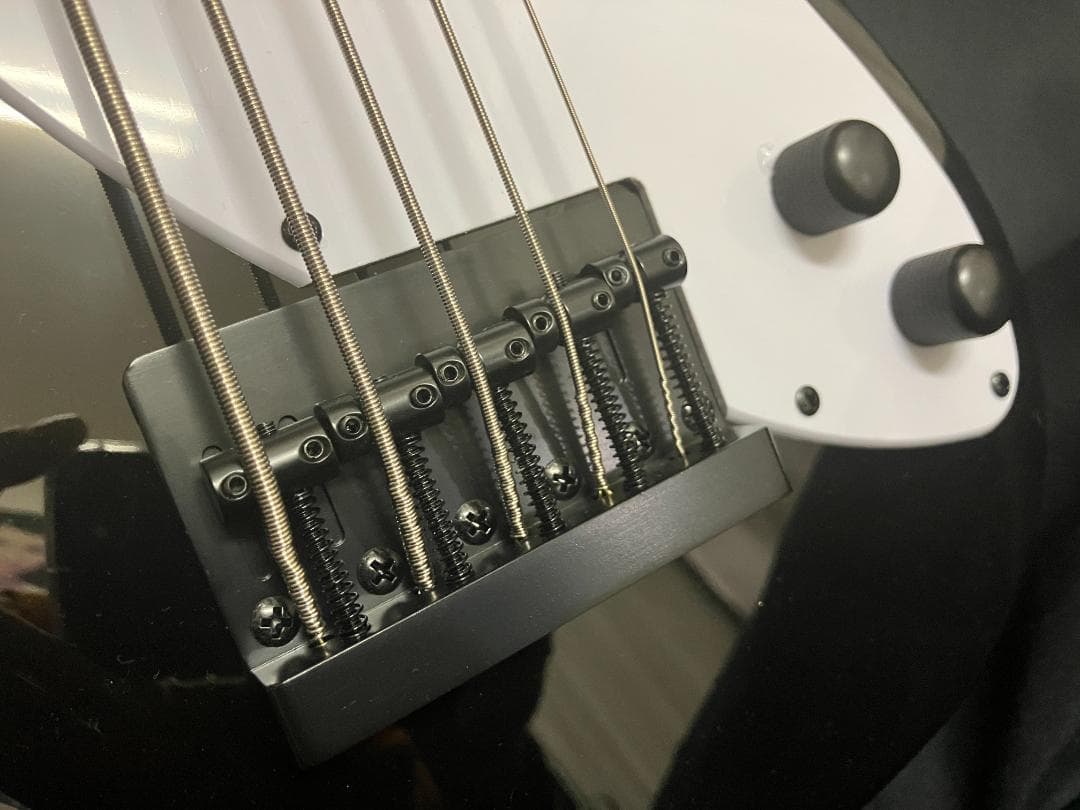 ☆年末年始セール 価格☆【未使用】KALA 5弦ウクレレベース（黒）専用