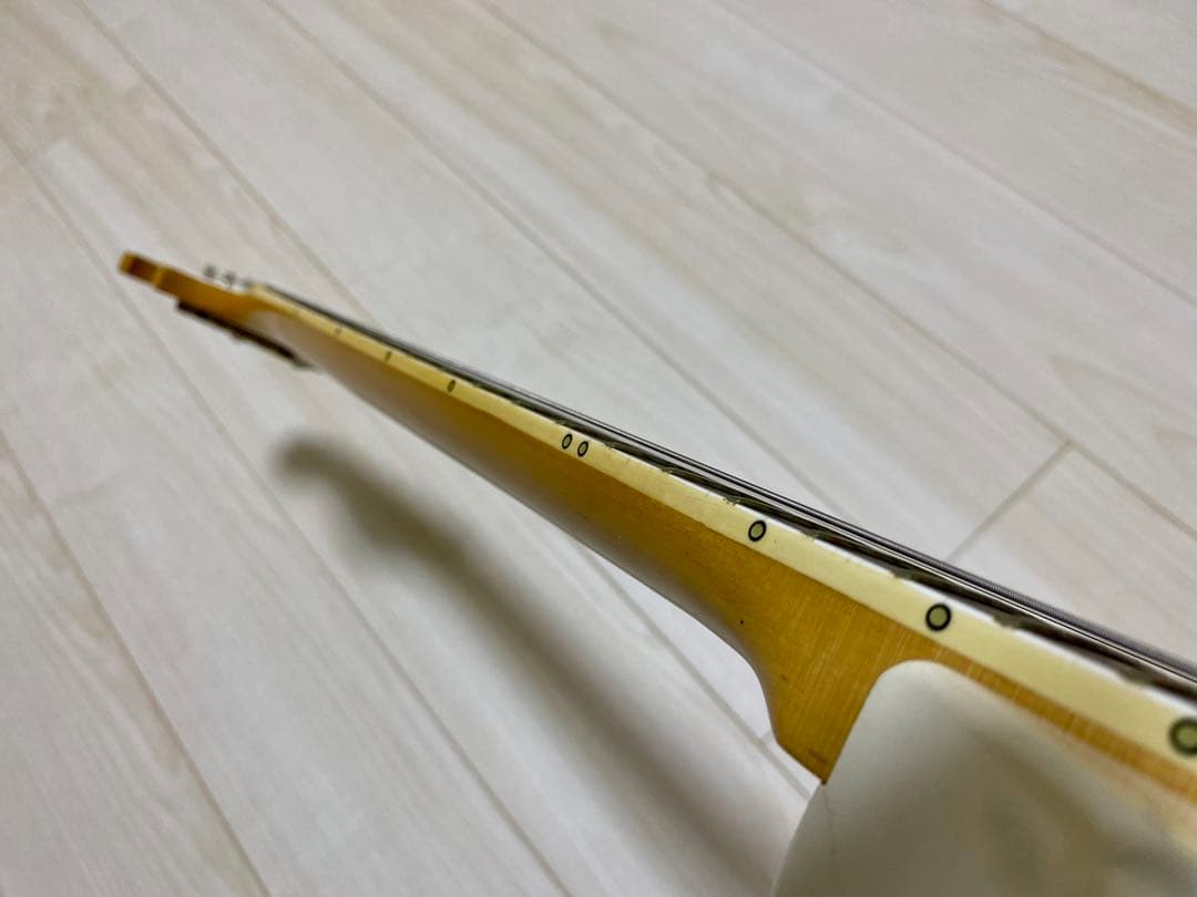 ESP edwards cygnus LEDAモデル　シグナス