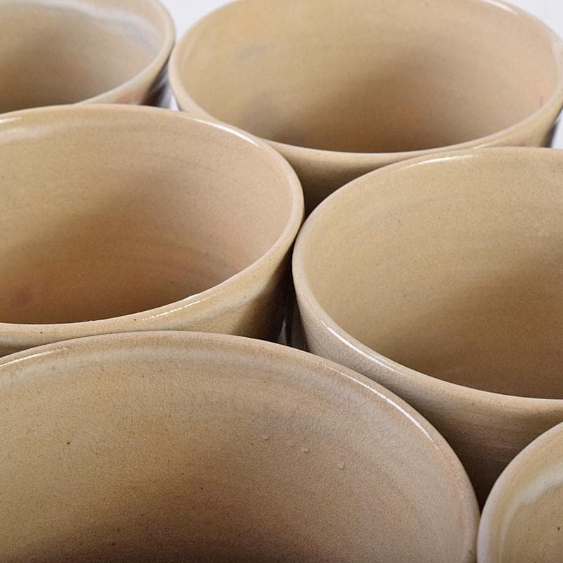 茶道具 赤膚焼 大塩正人造 御本立鶴 数茶碗 八客 共箱 V