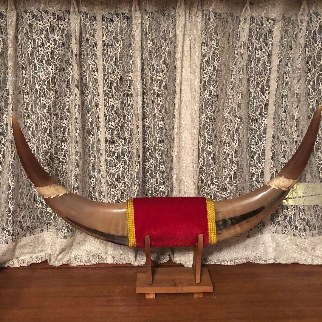 水牛の角 置物 - メルカリ