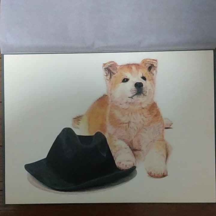 B4サイズ 色鉛筆画（ハチ公物語）