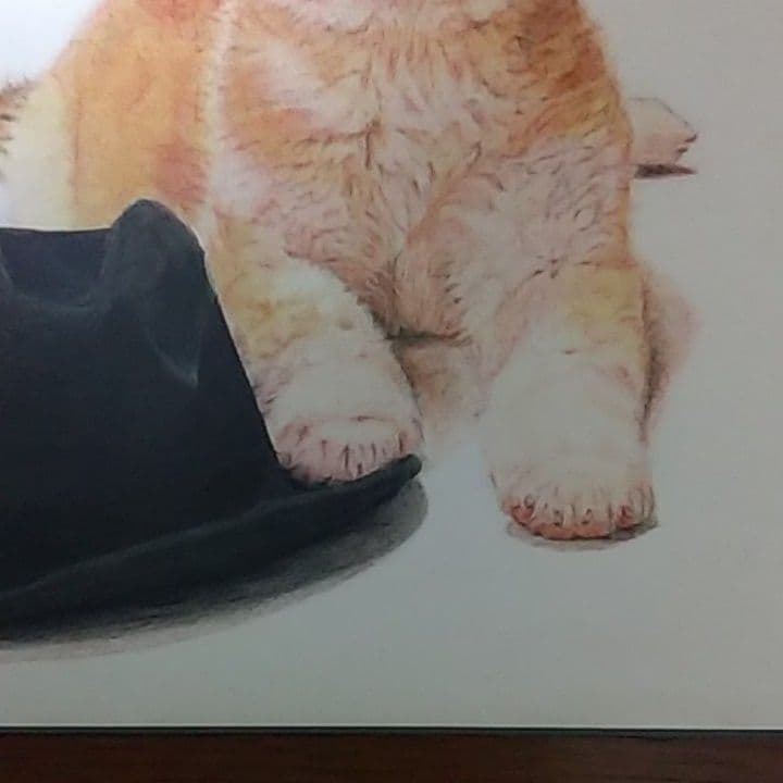 B4サイズ 色鉛筆画（ハチ公物語）