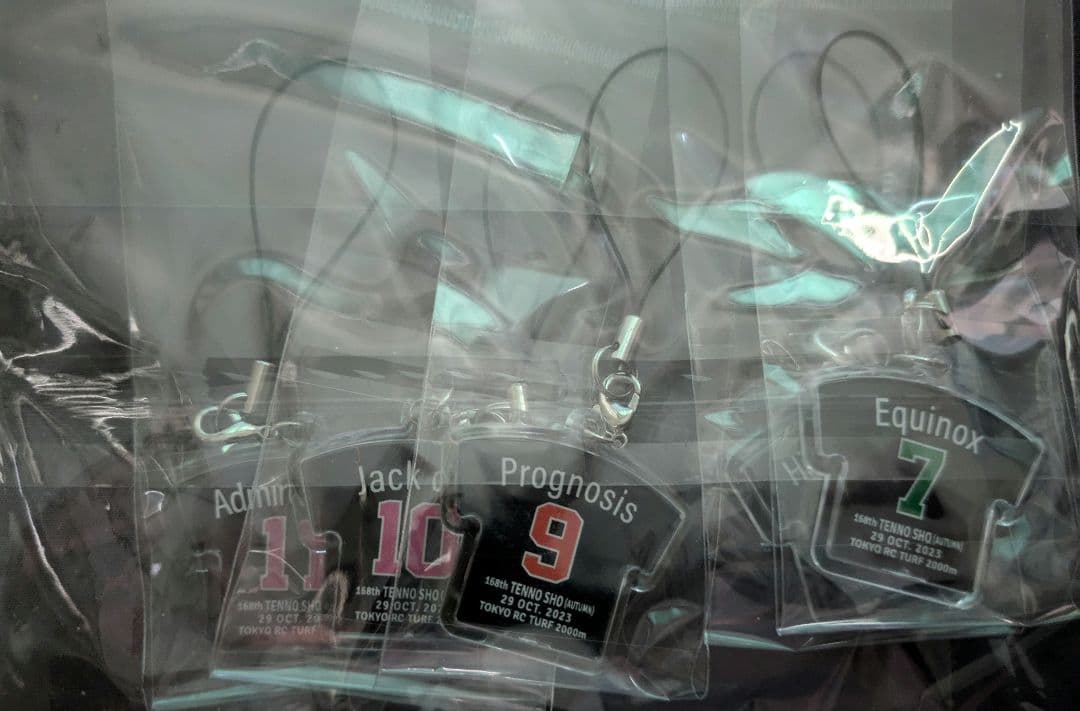 第168回天皇賞・秋　全出走馬のボールペン＆ストラップ