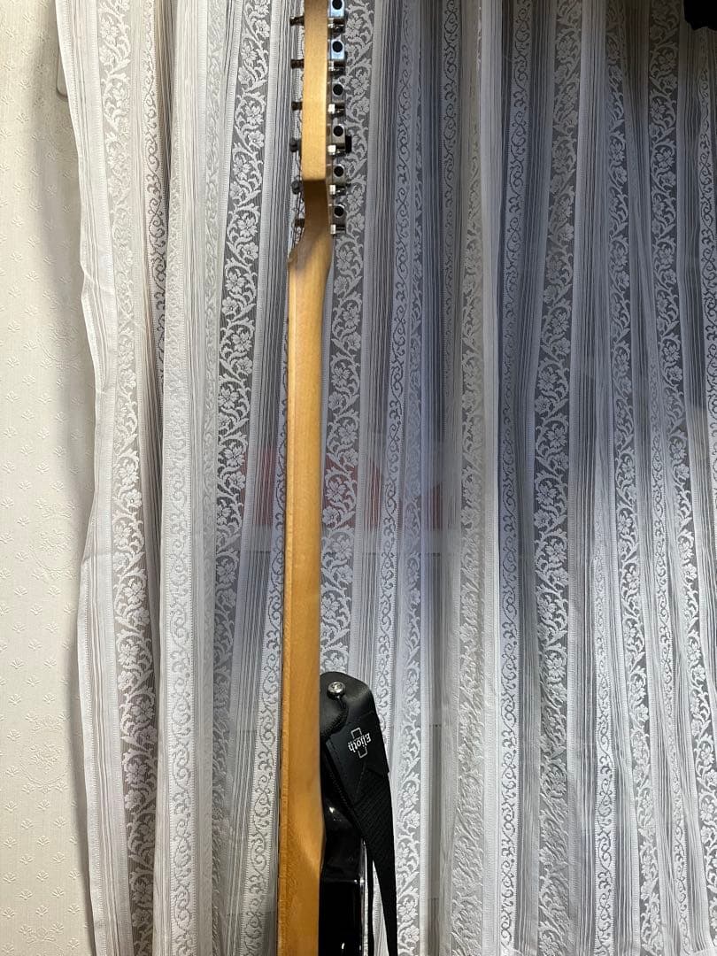 送料込み】Elioth S305 エレキギター 付属品付き｜Elioth No.S305