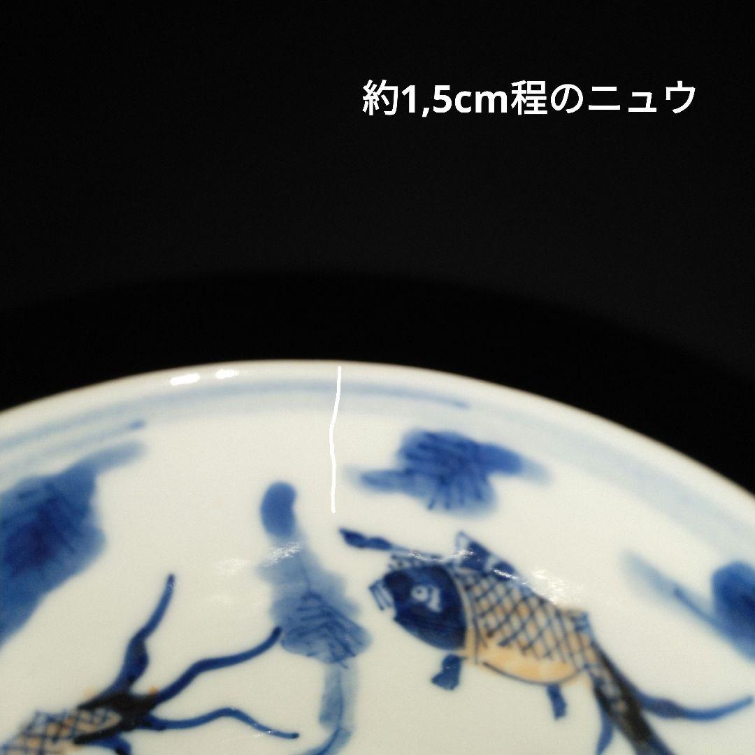 NO527 若深珍蔵 湯呑み 龍魚文 中国美術