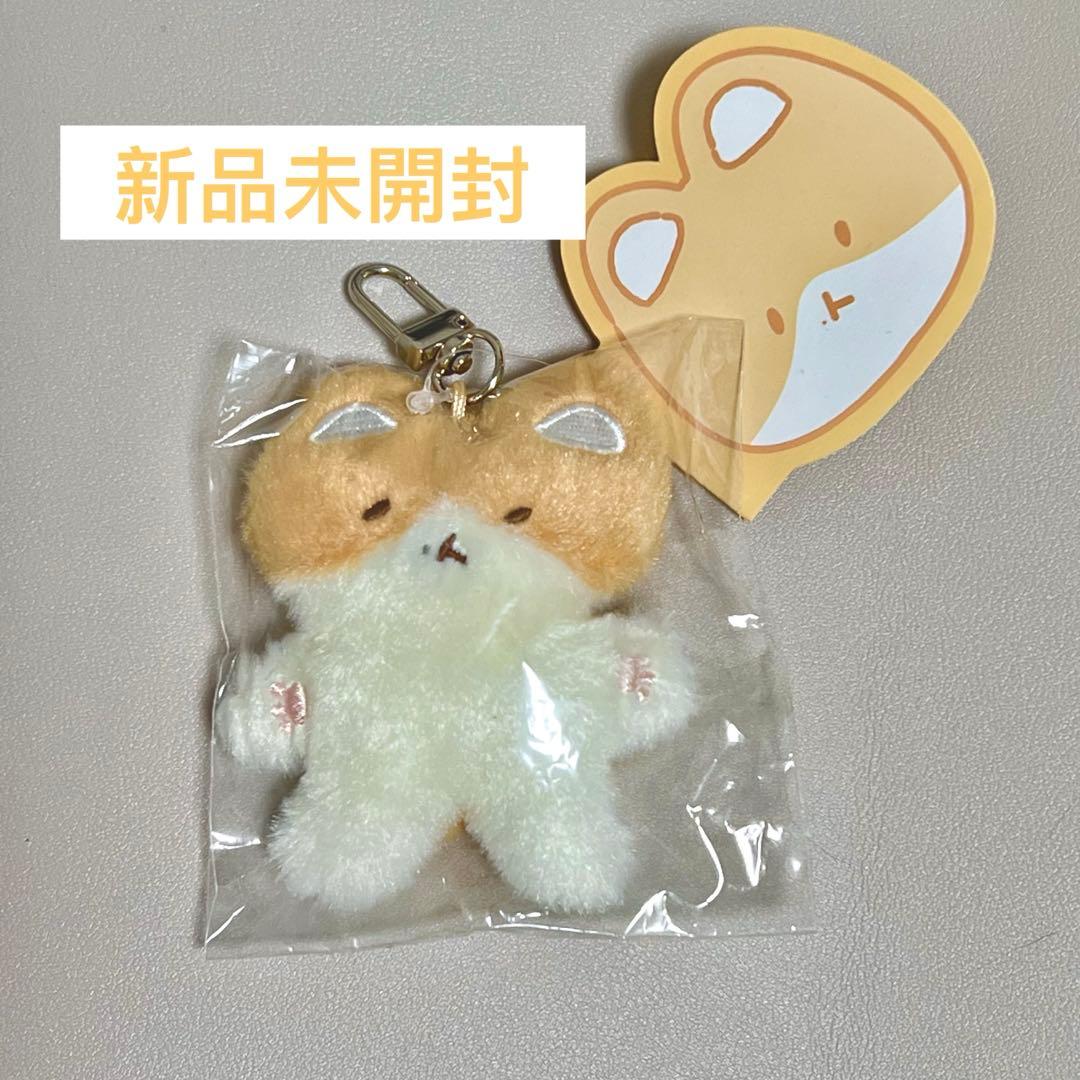 EXO ベッキョン トレギ キーホルダー