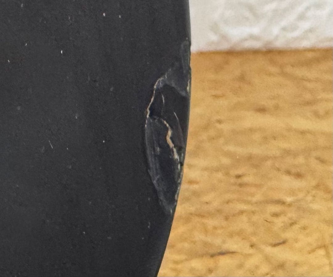 ESP HORIZON ホライゾン スルーネック