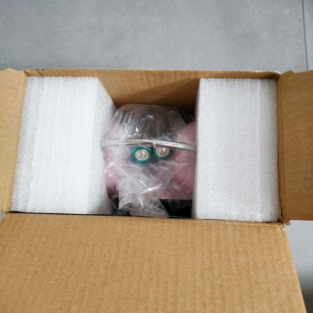 花芽なずな 誕生日2024記念 ボイス入り目覚まし時計 ぶいすぽっ