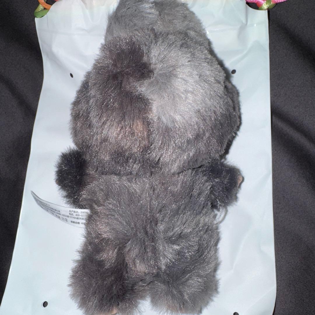 【即日発送】ラブブ Big into Energy シークレット 【正規品】