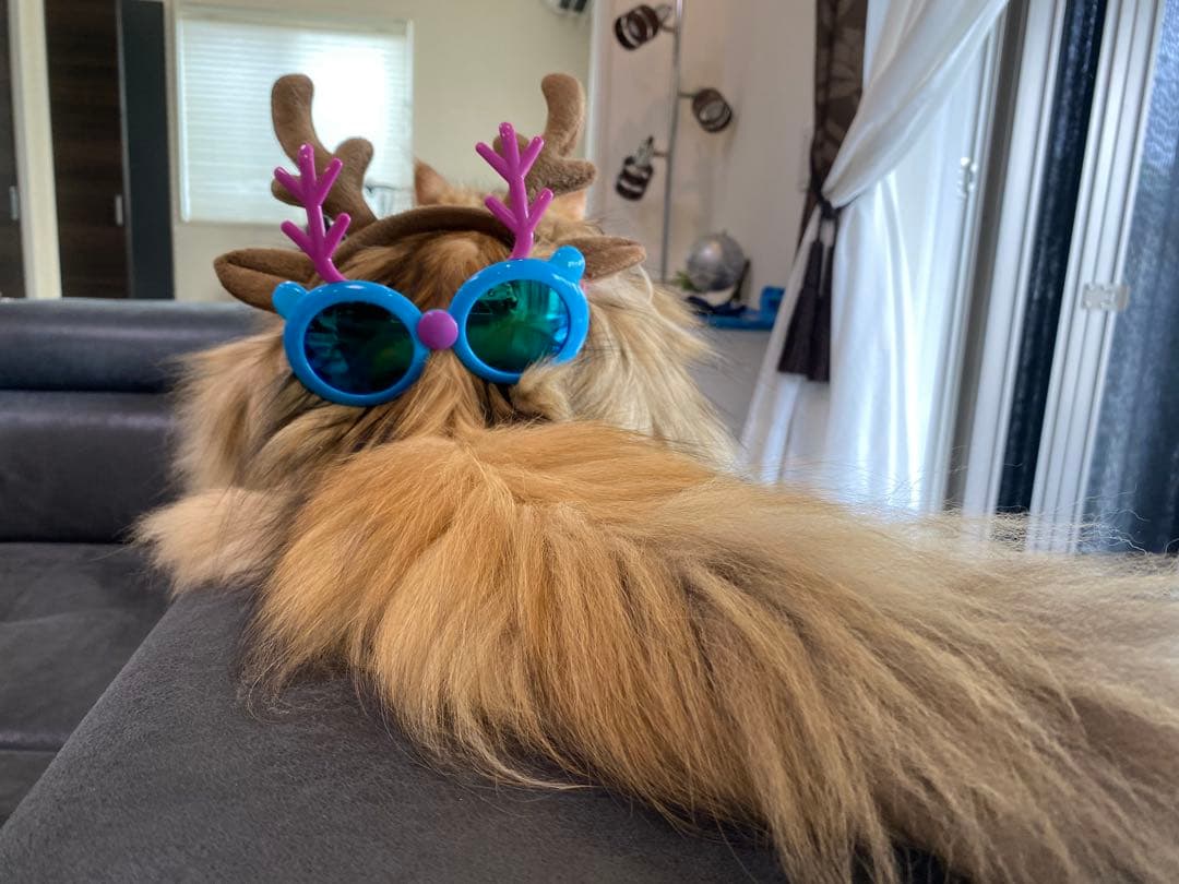 北印度産 玉石 インディアン・カラー・ストーン象嵌 飾箱 共箱 V R8518