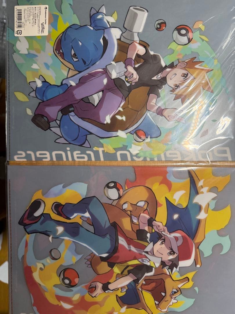 ポケモン A4クリアファイル５枚セット メイ カミツレ フウロ　レッド　グリーン