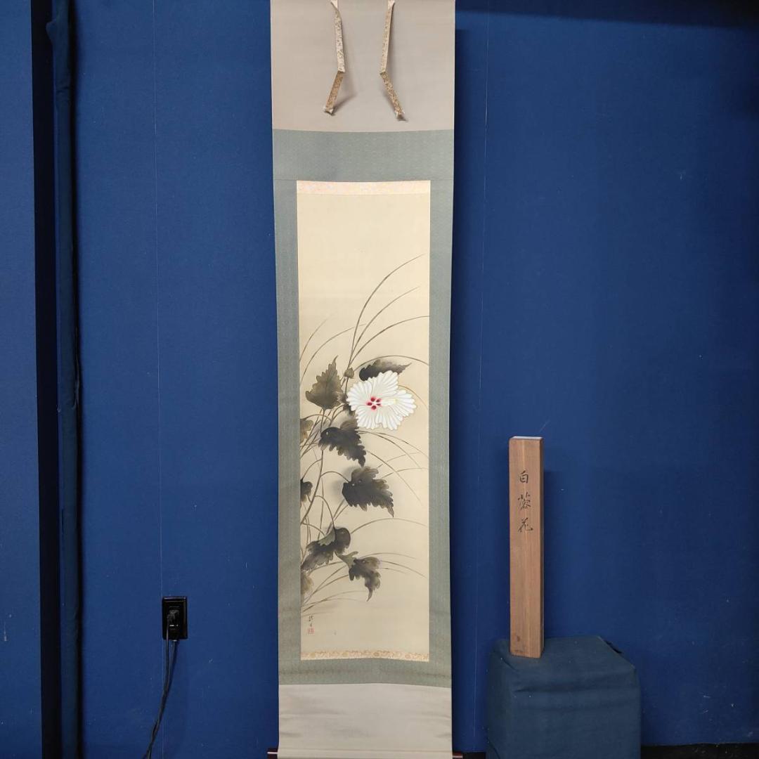 真作/龍畝/白蓉花図/花/桐共箱付布袋屋掛軸A-397
