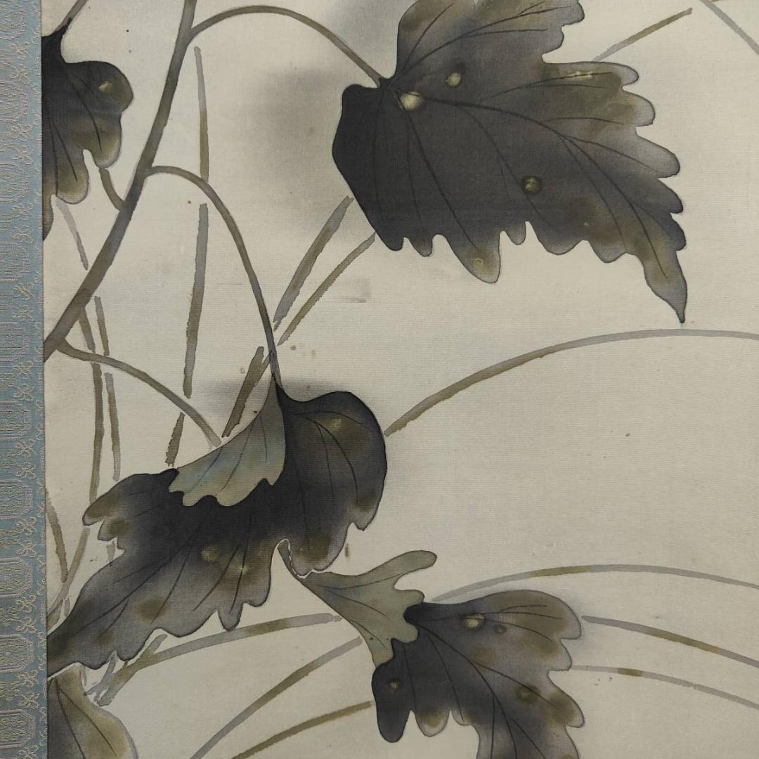 真作/龍畝/白蓉花図/花/桐共箱付布袋屋掛軸A-397