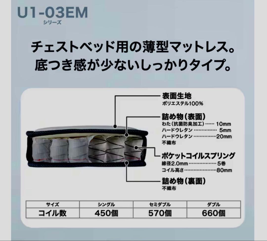 鮎【引取り限定（東京都板橋区）】ニトリ 大容量収納ベッド
