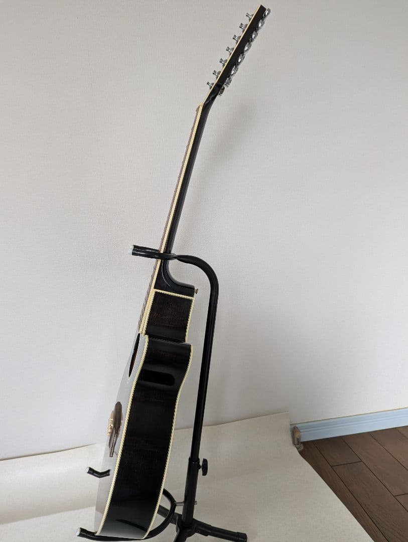 タカミネの12弦ギター NPT110-12 Takamine タカミネ NPT-110-12 12弦