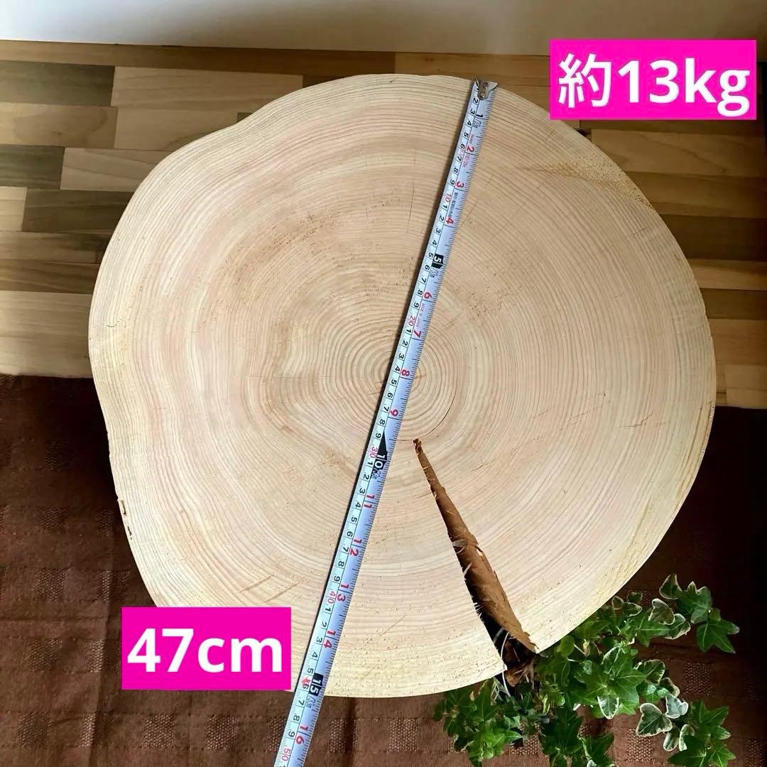 特大直径47cm 切り株 スツール サイドテーブル 樹齢約80年