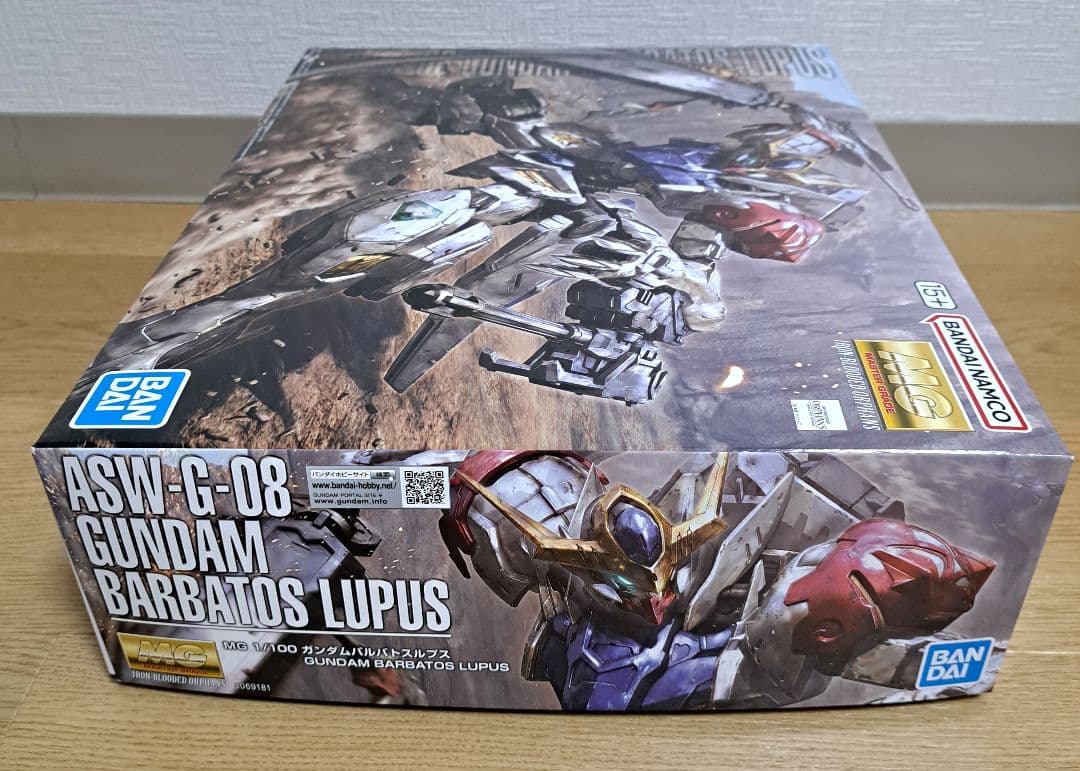 まあさ様専用」MG ロバートギリアム専用ザク MG νガンダム HWS 2点