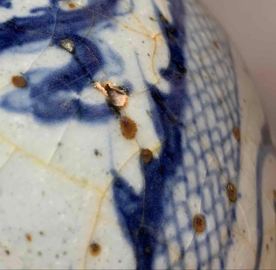 中国 染付龍絵梅瓶　f2250917