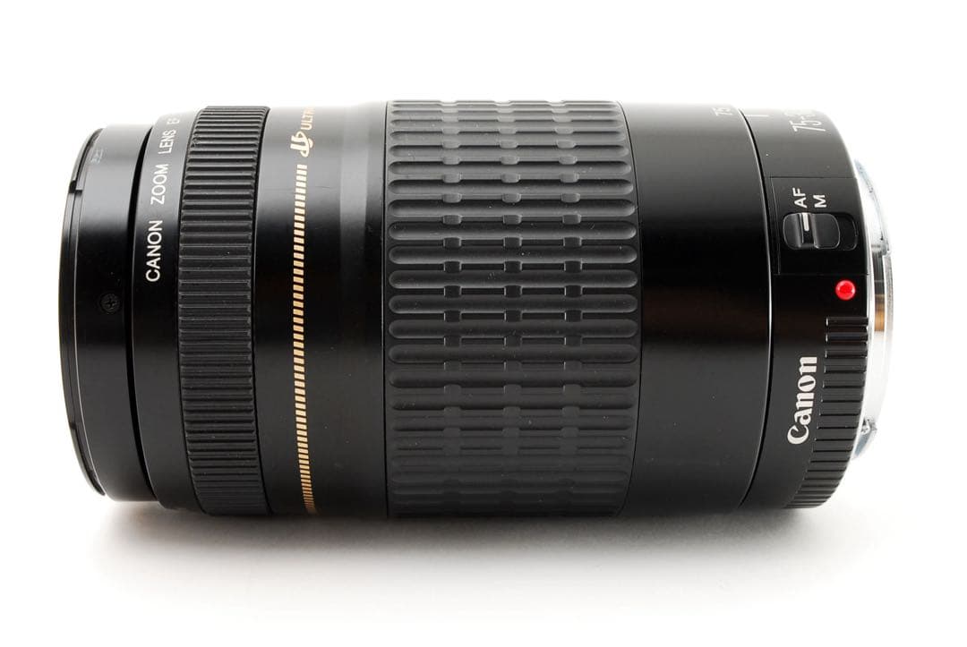 望遠レンズ/デジタル一眼レフカメラ/Canon EF75-300㎜