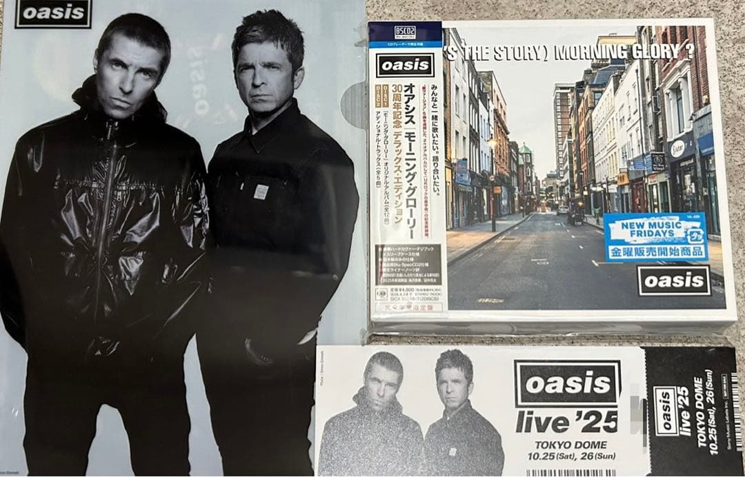 oasis シリアルナンバー入りメモリアルチケットアンドクリアファイル