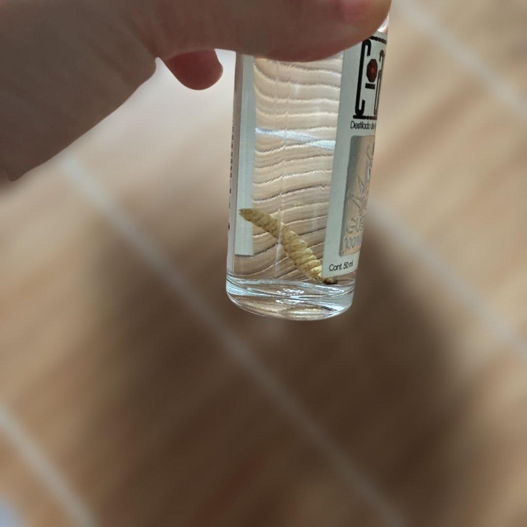 スペインのお酒 蒸留酒