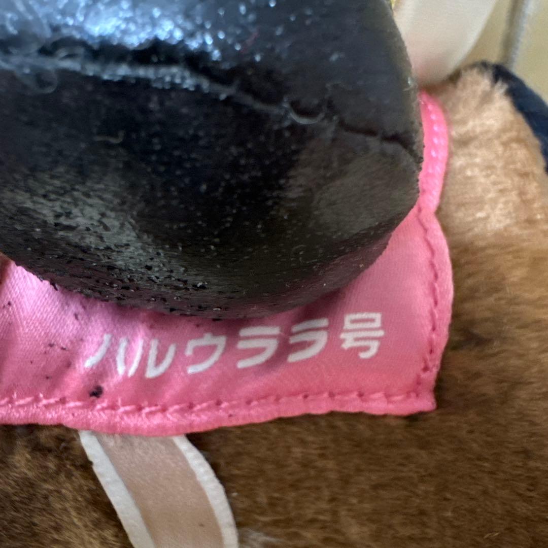 ハローキティ　ハルウララ　ぬいぐるみ