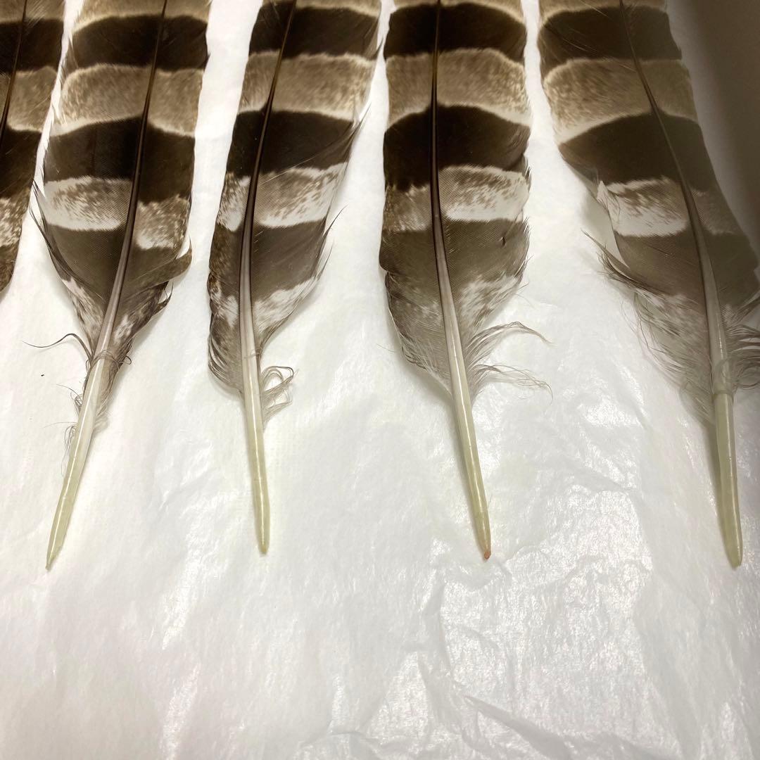 ハンドメイド　リメイク　飾り　インテリア　弓道　羽　替え羽　猛禽類　鷹の羽根