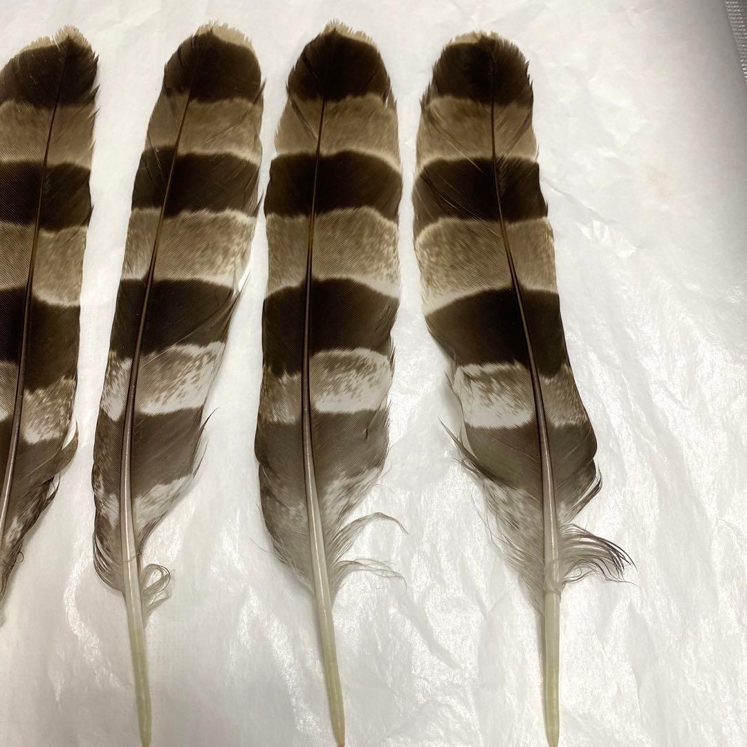 ハンドメイド　リメイク　飾り　インテリア　弓道　羽　替え羽　猛禽類　鷹の羽根