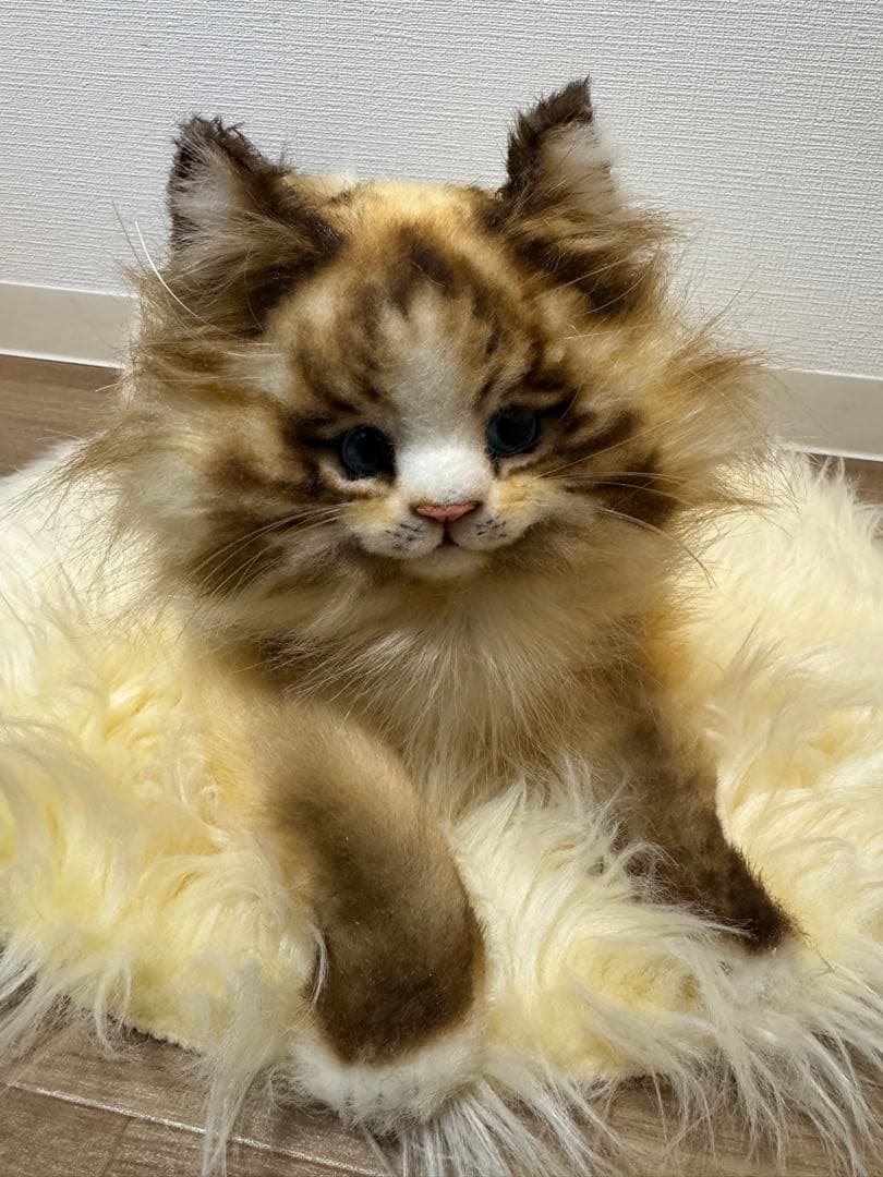 海外作家様作 アートドール 猫 ラグドール