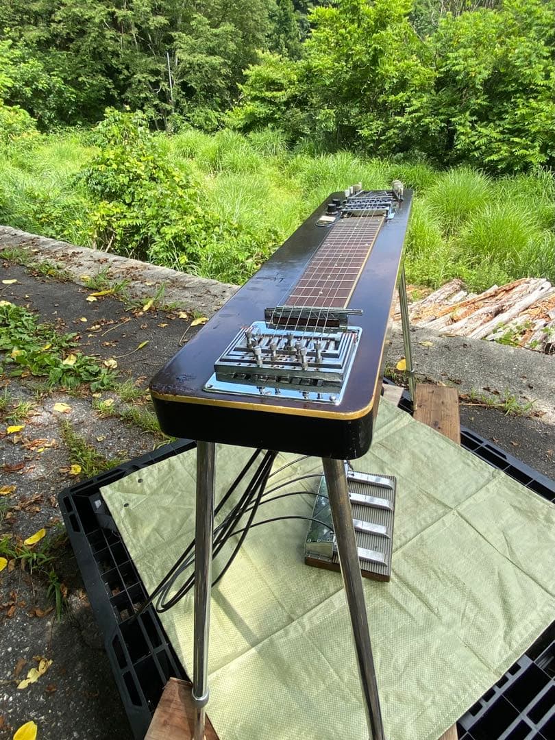 TEISCOテスコ製8弦ペダルスチールギター Model EG-DH 希少‼︎ teisco様