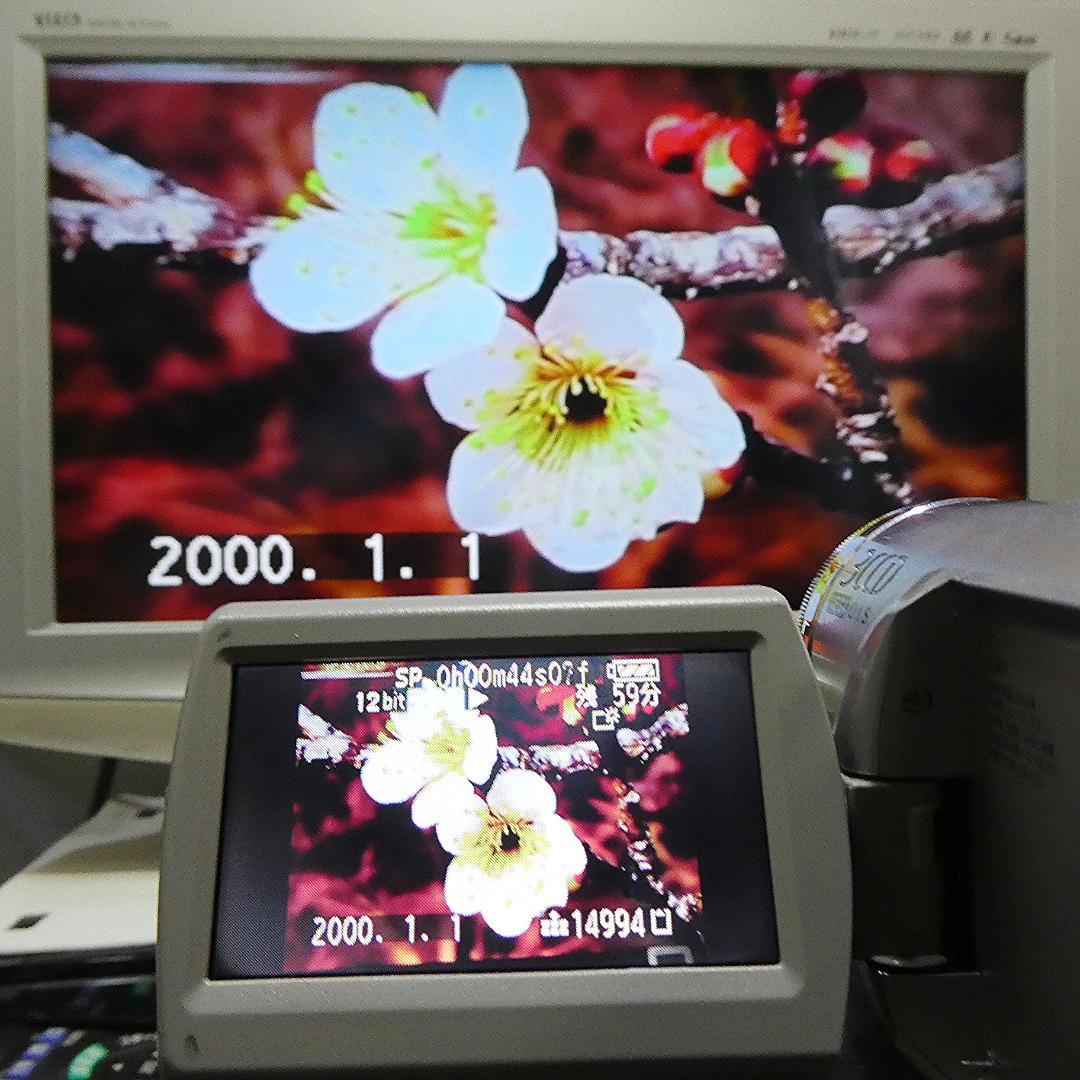 動作良好 パナソニック NV-GS300 MiniDVビデオDVDダビングに最適