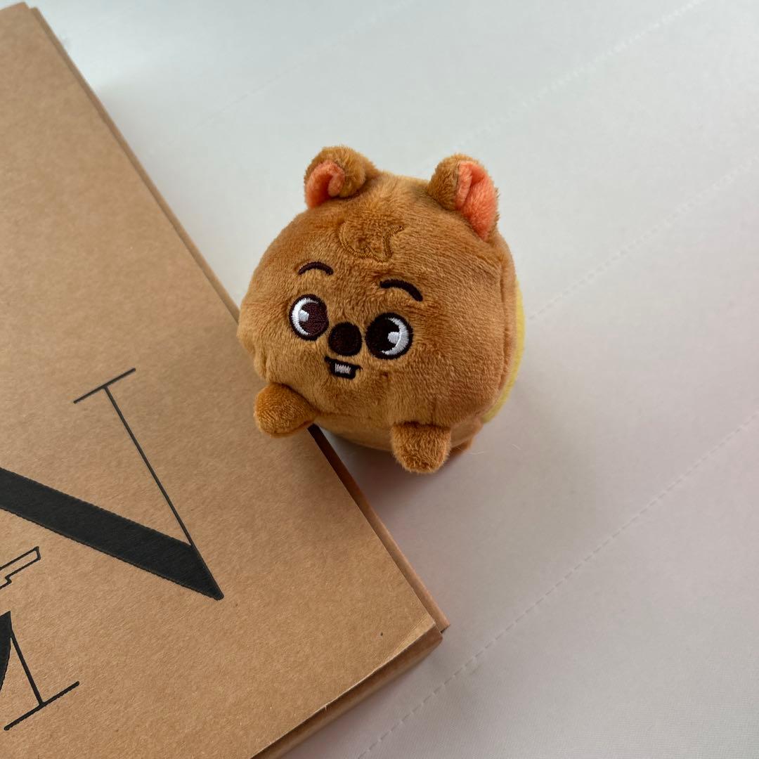 STRAY KIDS HAN スキズ　ハン　クォッカ　セット　まとめ売り14点