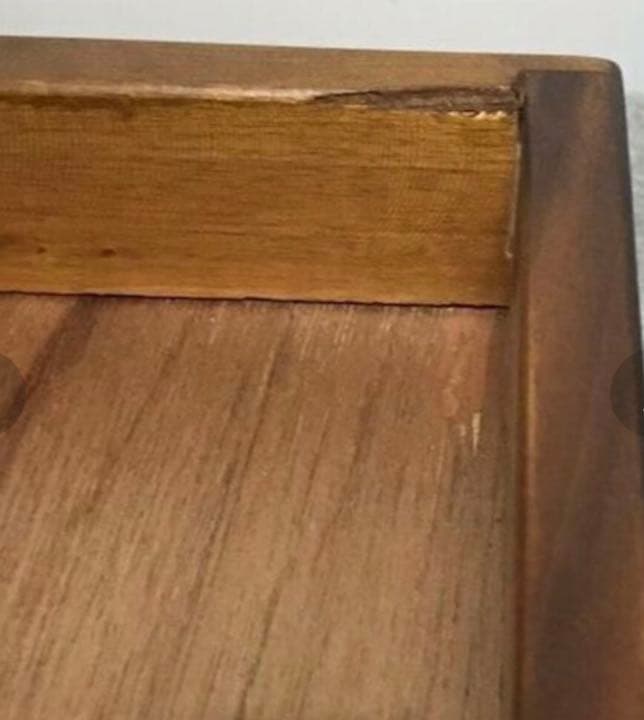 ジャワツリー バードジム 卓上 バードスタンド 鳥 インコ