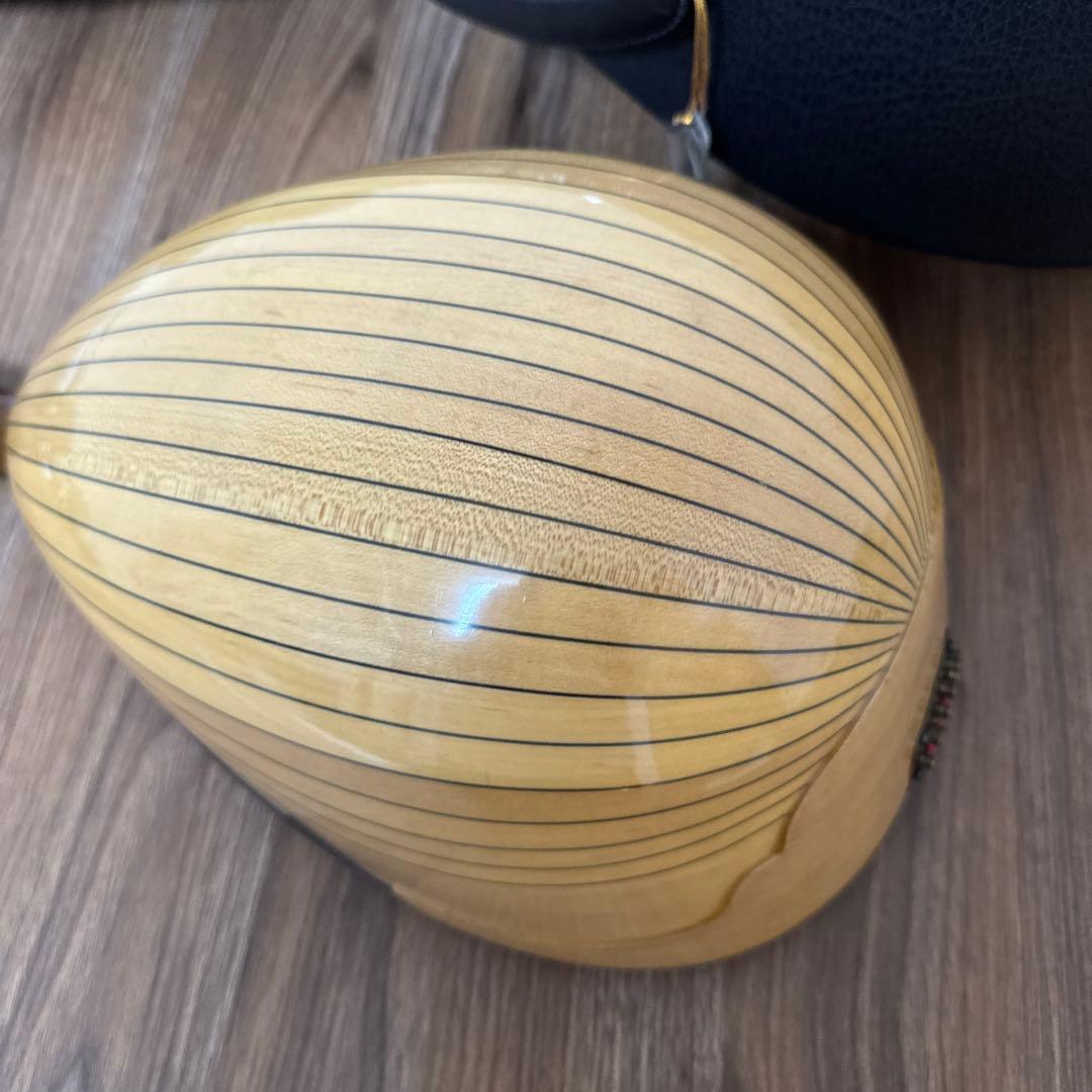 SUZUKI M-30 マンドリン 本体 ハードケース 付き