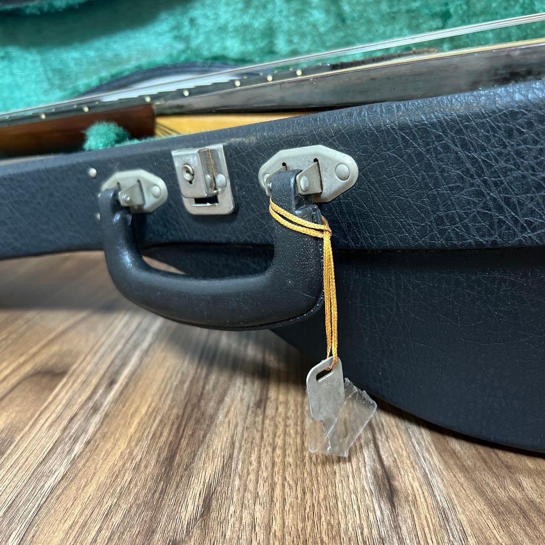 SUZUKI M-30 マンドリン 本体 ハードケース 付き