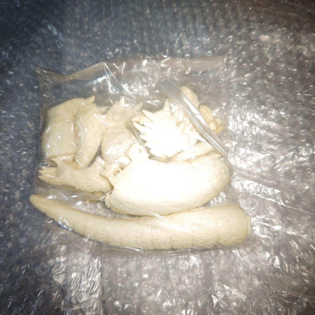 ゴジラ　酒井ゆうじ造型工房　南海ゴジラ出現　ガレージキット　未組立