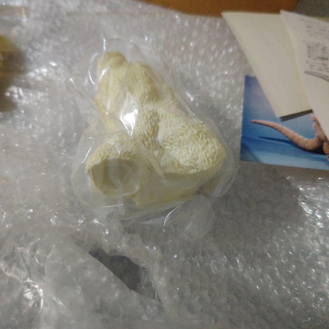ゴジラ　酒井ゆうじ造型工房　南海ゴジラ出現　ガレージキット　未組立